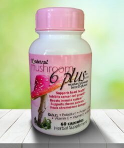 Mushroom 6 Plus