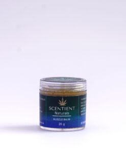 Pain / Muscle Balm 20g (200mg CBD)